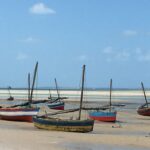 Dhows of Vilanculos: Ancient Vessels, Living Tradition