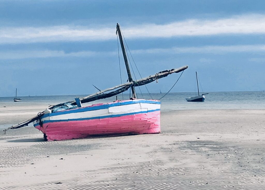 Vivid colors are often used to paint the dhows.